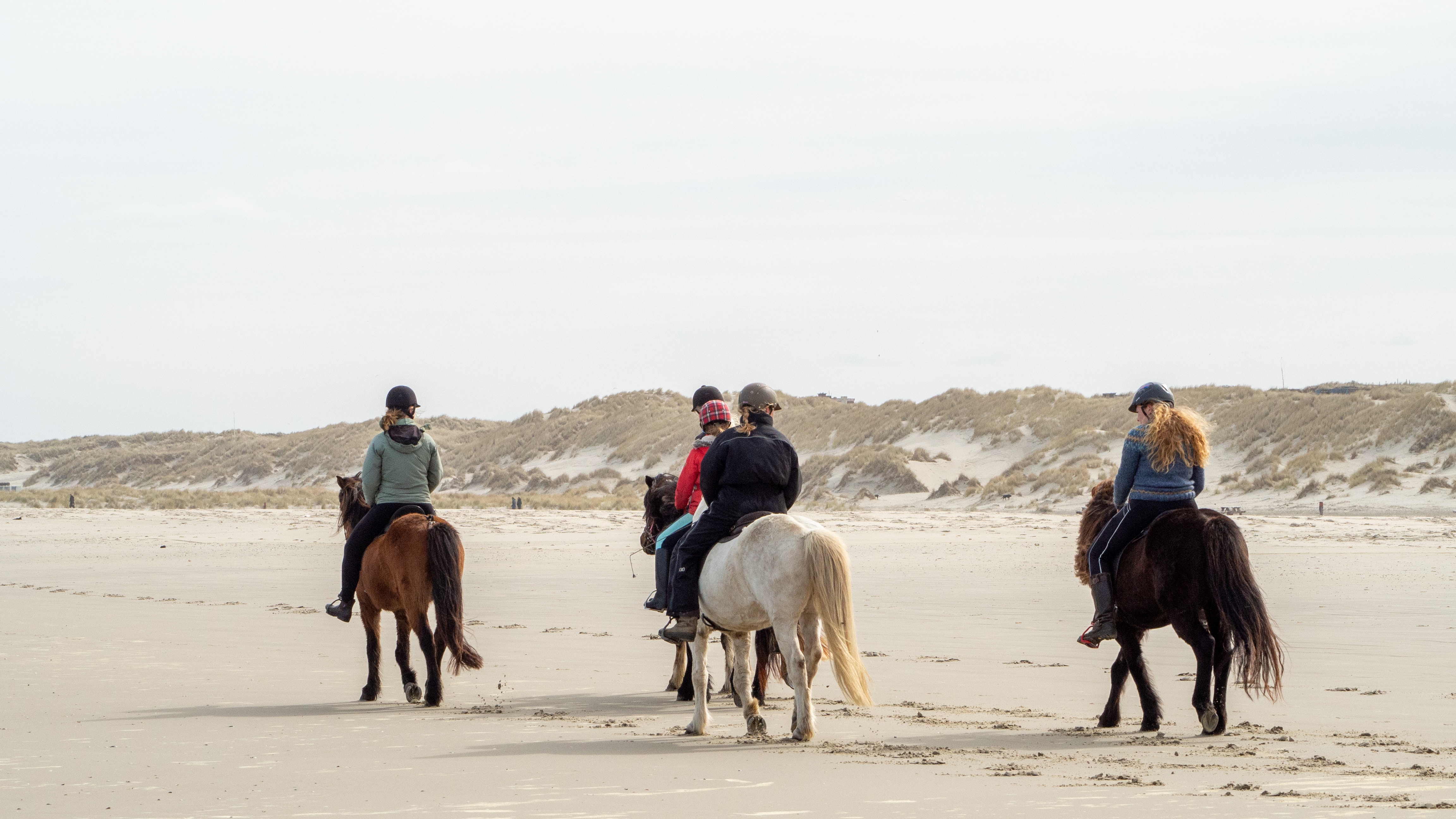 Horse Riders